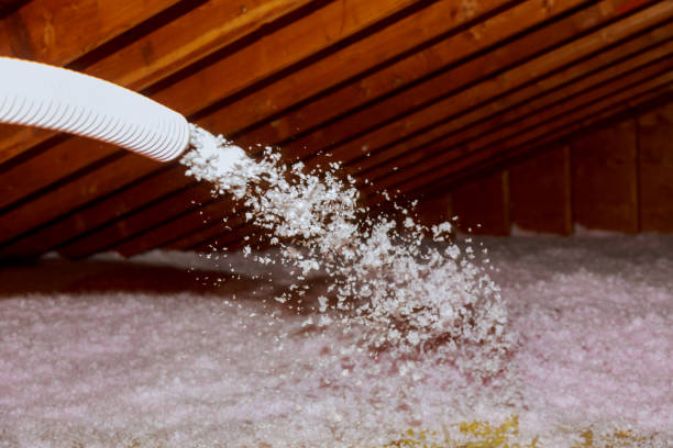 Best Spray Foam Insulation  in Leupp, AZ