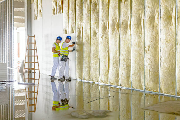 Best Energy-efficient Insulation  in Leupp, AZ